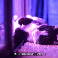 Смелость мечтать - Sound Sleeping