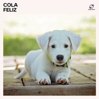 Relax Canino - Musicoterapia Animales Academy & Musicoterapia & Música relajante para mascotas & Cachorros Zen Música