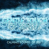 Relaxing Piano Moods - Gentle Music Sanctuary