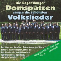 Es dunkelt schon in der Heide - Regensburger Domspatzen