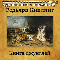 Книга джунглей. Часть 47 - Аудиокнига в кармане & Владимир Левашов