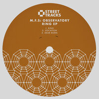 Dear Born - M.F.S: Observatory