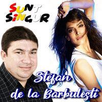CA ORI CE OM AM FAMILIE - Stefan de la Barbulesti