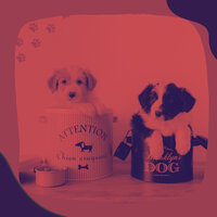 Grand Ambience for Doggy Anxiety - Relaxing Dog Music