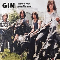 Pseudo Funk - Gin