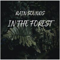 Gentle Raindrops in the Forest for Sleeping, Pt. 31 - Rain Sounds & Relaxing Spa Music & Ruído branco