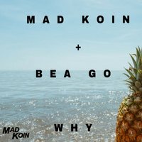 Why - Mad Koin