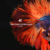 Inevitable Future - Flim & I0