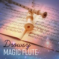 Secret of the Moon - Flute Music Ensemble