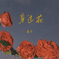 穿过花 - 善宇