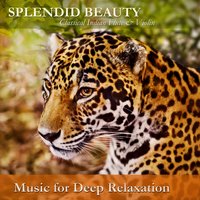 A Rare and Beautiful Raga: Sumaneesharanjani Violin Solo (feat. Mysore V. Srikanth) - Music for Deep Relaxation & Mysore V. Srikanth