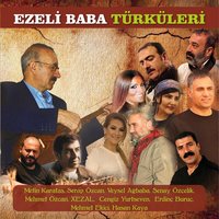 Başım Alır Giderim - Metin Karataş