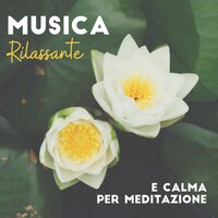 Respiro lento - Relax Musica Zen Club