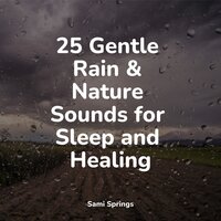 Late Night Rains - Sounds Of Nature : Thunderstorm, Rain & 125 Nature Sounds & Sonidos de lluvia para dormir