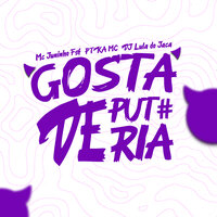 Gosta de Putaria - PTKA MC & Dj Lula & Mc Juninho FSF