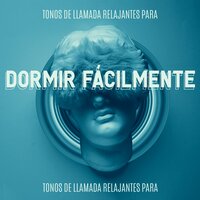 Solución de Ansiedad y Alivio del Dolor - Dormir Maestro