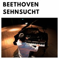 Piano Sonata No. 11, In B Flat Major, Op. 22 : IV. Rondo, Allegretto - Artur Schnabel & Ludwig van Beethoven