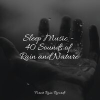 Rain, Evening, Leaves - Deep Sleep Music Experience & Meditation Zen & Ambient Music Therpy