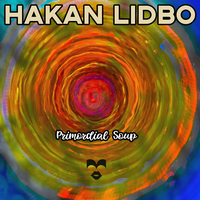Primordial Soup - Hakan Lidbo