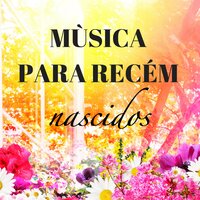 Boa Noite - Canções de Ninar 101