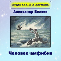 Неприятная встреча - Аудиокнига в кармане