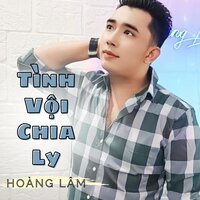 Tình Vội Chia Ly - Hoàng Lâm
