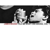 Fine Old Foxy Self - James Brown