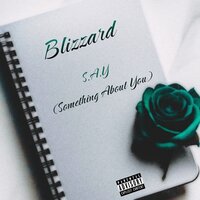 S.A.Y - Blizzard
