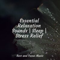 Dream Drones - Chillout Lounge & Deep Sleep & Guided Meditation