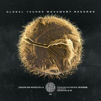 Forcefullness - Jesus De Minguela & Goncalo M