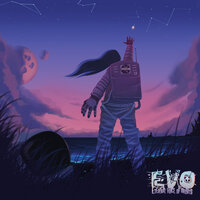 Зеркала - EVO