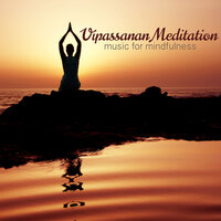 Different People, Different Insights - Meditation Music Masters
