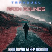 Pearls - Rain David Sleep Dragon
