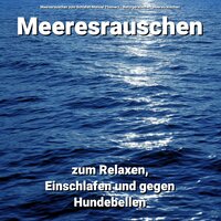 Erinnerungen mit Dir - Meeresrauschen zum Schlafen Manuel Thomerz & Naturgeräusche & Meeresrauschen