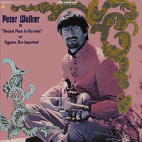 Mixture - Peter Walker