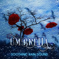 Nature Sound - Healing Rain Sound Academy
