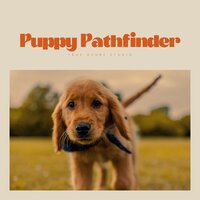 Poppy Pathfinders - Calming for Dogs