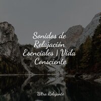 Lluvias de Ensueño - Sonidos de la Naturaleza Relax & Sonido Del Bosque y Naturaleza & Sonidos de la Naturaleza Relajacion
