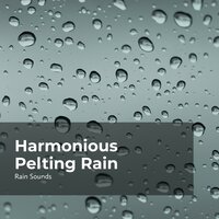 Drip Drop Rain Sound - Rain Sounds & Rain Storm Sample Library & Natural Rain Sounds for Sleeping