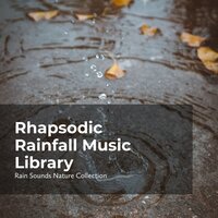 Joyous in Rainfall - ASMR Rain Sounds & Rain Sounds Nature Collection & Sleepy Rain