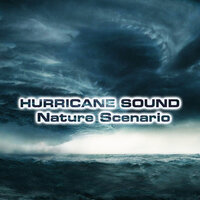 Heavy Rain Hurricane for Sleep - Nature Scenario Sounds & Stormy Weather Sounds & Hurricane White Noise Sound & Rain & Rain Atmosphere Sounds & Rain Healing FX