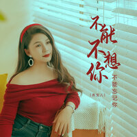 不能不想你不能忘记你 - 燕宝儿 & 大琦