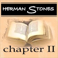 Flying Faces - Herman Stones
