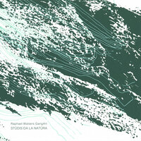 Sur La Tschiera - Raphael Walsers GangArt & Niculin Janett & Marc Méan & Ganesh Geymeier & Raphael Walser & Jonas Ruther