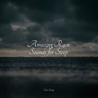 Drops in the Water - Ambient Forest & Mindfulness Meditation Universe & Weather Factory