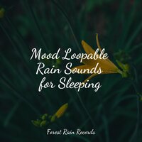 Park, Birds, Insects, Busy, Calm Wind - Sounds of Nature White Noise for Mindfulness Meditation and Relaxation & Sleepy Times & Massage Tribe