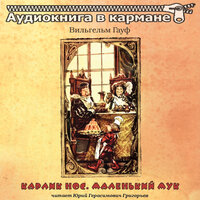 Маленький Мук. Часть 3 - Аудиокнига в кармане & Юрий Григорьев