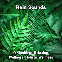 Rain Sounds for Relaxing and Wellness Pt. 32 - Nature Sounds & Rain Sounds & Regengeräusche