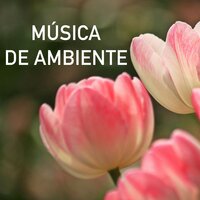 Sin Problemas - Musica Ambiental Clube