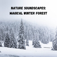 Soothing Sounds os Insects - Nature Recordings & Study Power & Alpha Waves